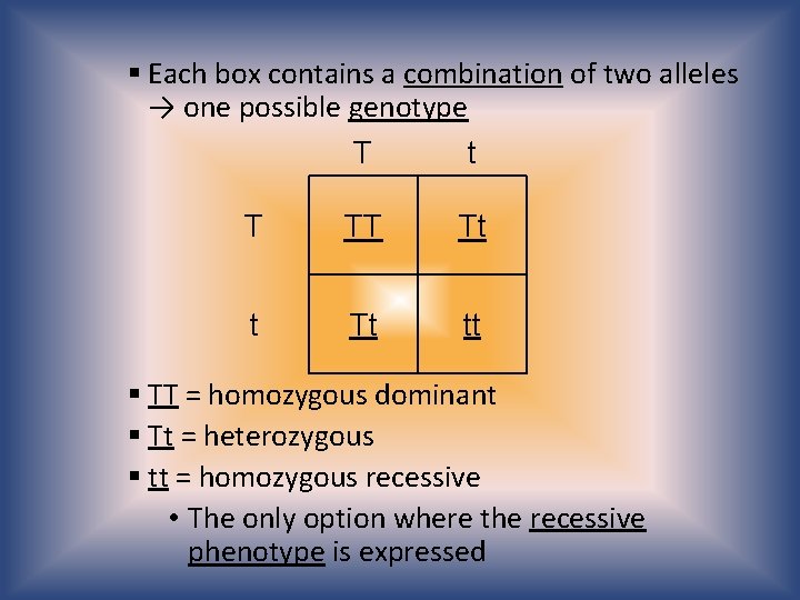 § Each box contains a combination of two alleles → one possible genotype T