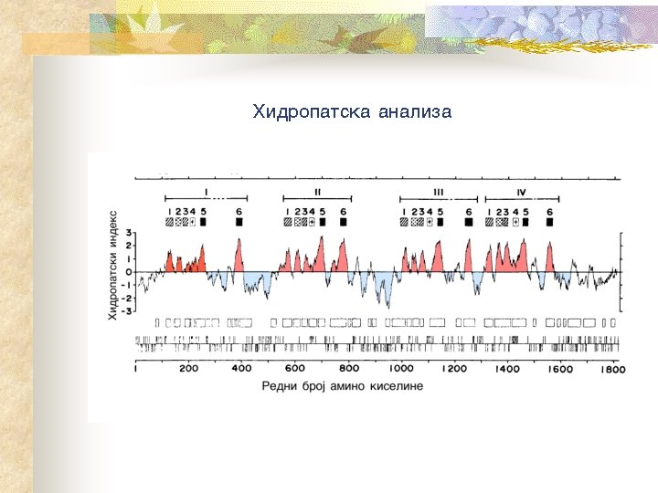 Hidropatska analiza 