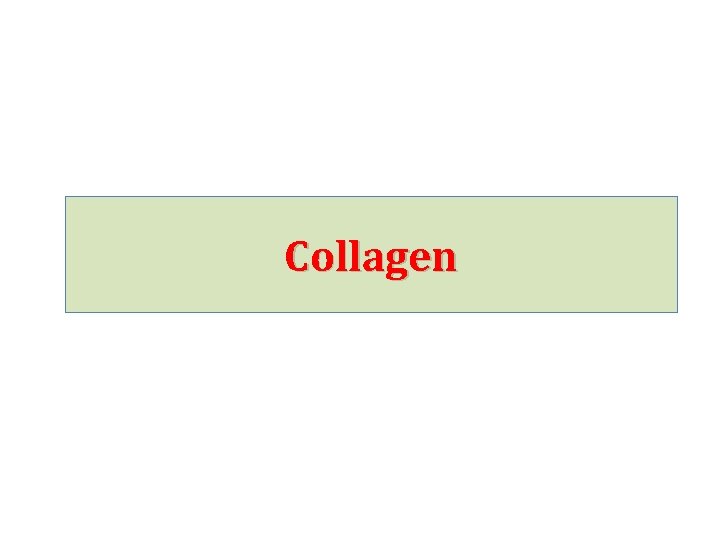 Collagen 