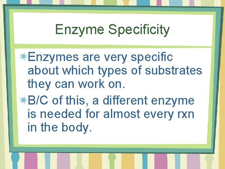 Enzyme Specificity Enzymes are very specific about which types of substrates they can work