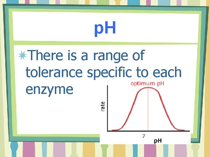 p. H There is a range of tolerance specific to each enzyme 