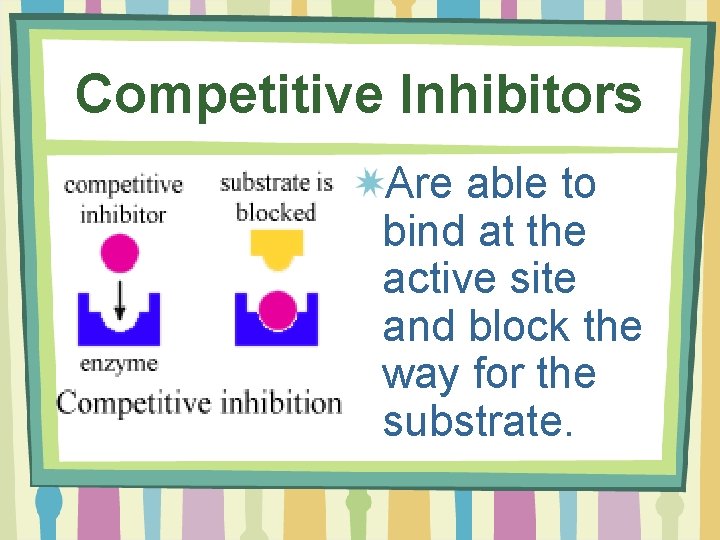 Competitive Inhibitors Are able to bind at the active site and block the way