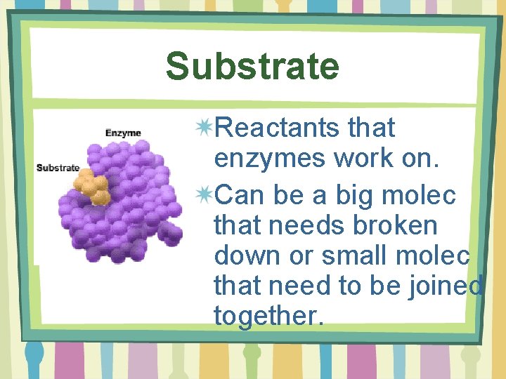 Substrate Reactants that enzymes work on. Can be a big molec that needs broken