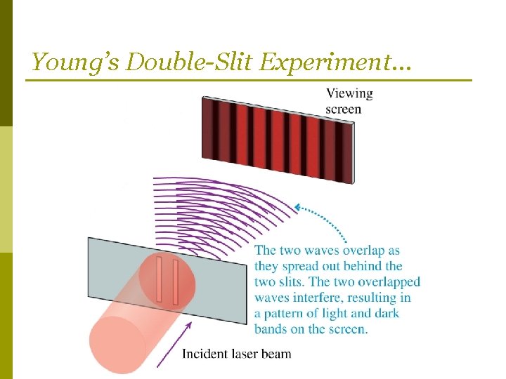 Young’s Double-Slit Experiment… 