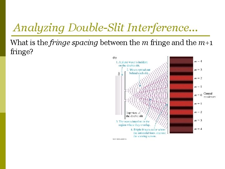 Analyzing Double-Slit Interference… What is the fringe spacing between the m fringe and the