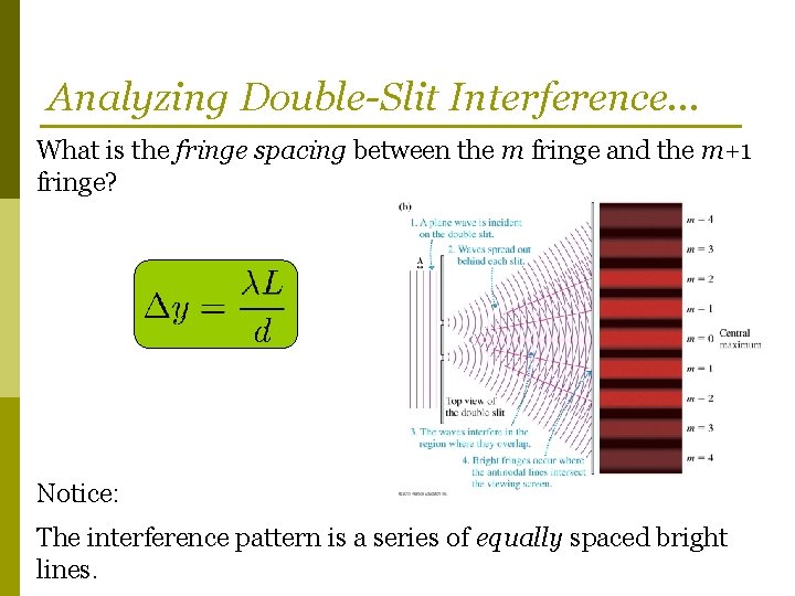 Analyzing Double-Slit Interference… What is the fringe spacing between the m fringe and the