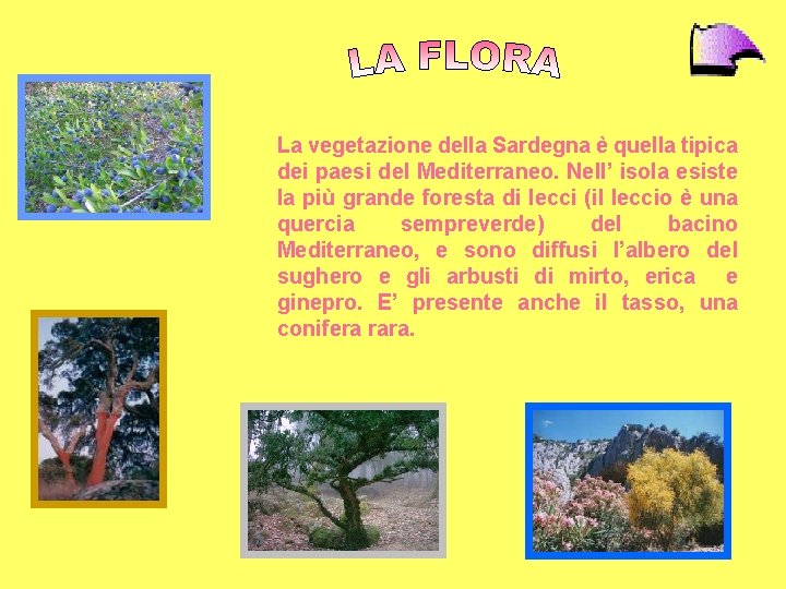 La vegetazione della Sardegna è quella tipica dei paesi del Mediterraneo. Nell’ isola esiste La vegetazione della Sardegna è quella tipica dei paesi del Mediterraneo. Nell’ isola esiste