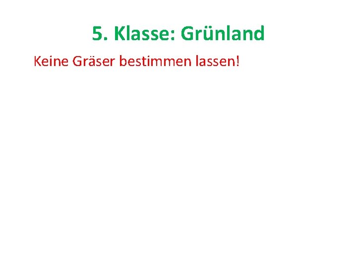 5. Klasse: Grünland Keine Gräser bestimmen lassen! 