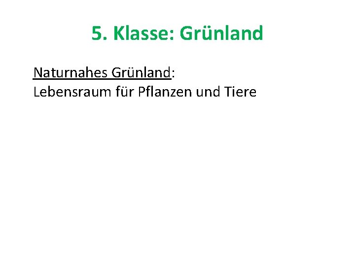 5. Klasse: Grünland Naturnahes Grünland: Lebensraum für Pflanzen und Tiere 