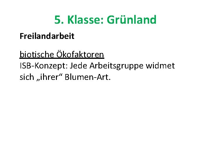 5. Klasse: Grünland Freilandarbeit biotische Ökofaktoren ISB-Konzept: Jede Arbeitsgruppe widmet sich „ihrer“ Blumen-Art. 