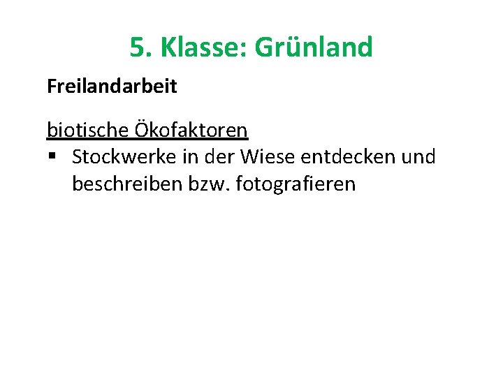 5. Klasse: Grünland Freilandarbeit biotische Ökofaktoren § Stockwerke in der Wiese entdecken und beschreiben