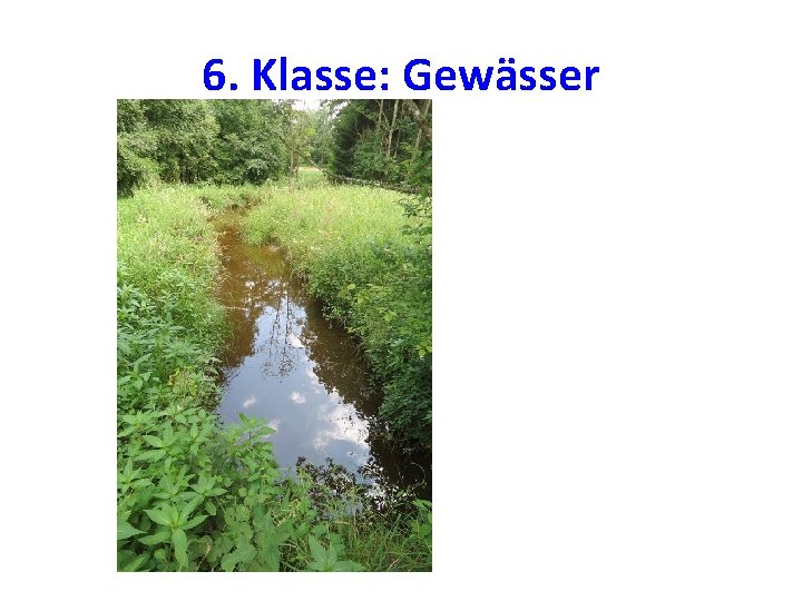 6. Klasse: Gewässer 