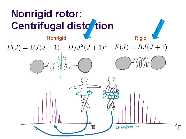 Nonrigid rotor: Centrifugal distortion Nonrigid Rigid 