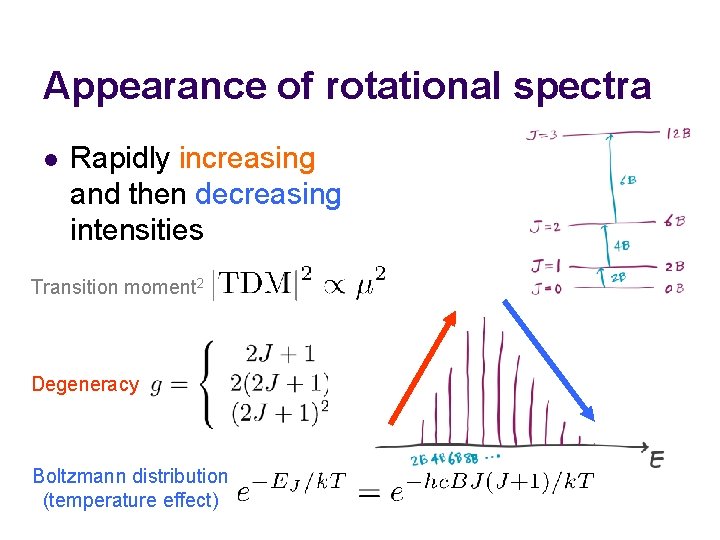 Appearance of rotational spectra l Rapidly increasing and then decreasing intensities Transition moment 2