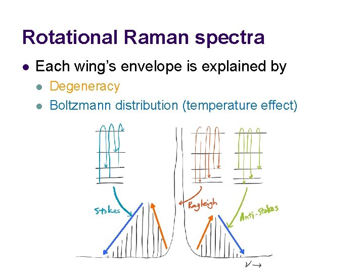 Rotational Raman spectra l Each wing’s envelope is explained by l l Degeneracy Boltzmann