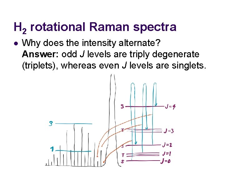 H 2 rotational Raman spectra l Why does the intensity alternate? Answer: odd J