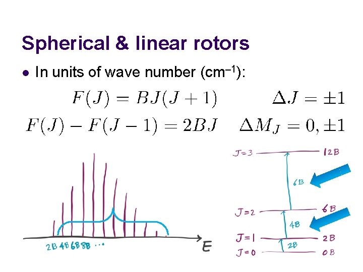 Spherical & linear rotors l In units of wave number (cm– 1): 