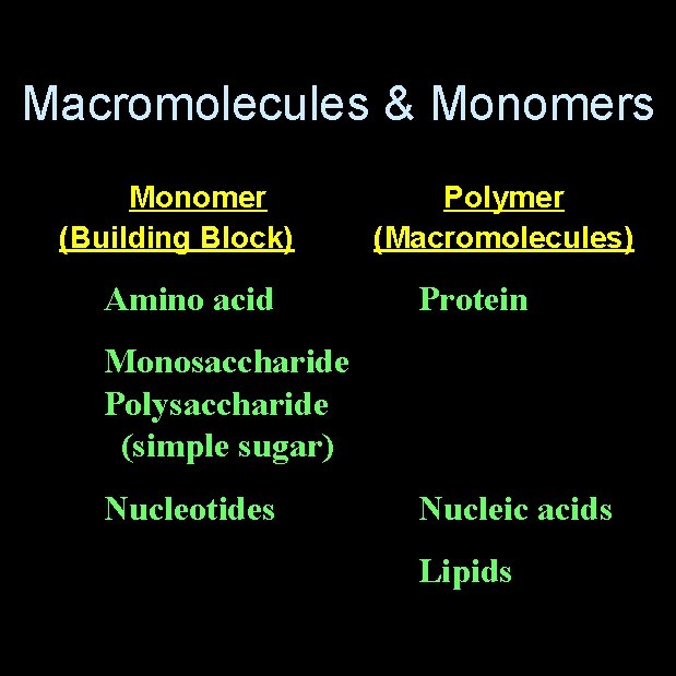 Macromolecules & Monomers Monomer (Building Block) Amino acid Polymer (Macromolecules) Protein Monosaccharide Polysaccharide (simple