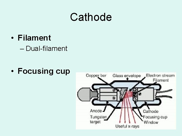 Cathode • Filament – Dual-filament • Focusing cup 