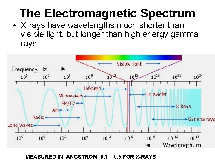 The Electromagnetic Spectrum • X-rays have wavelengths much shorter than visible light, but longer