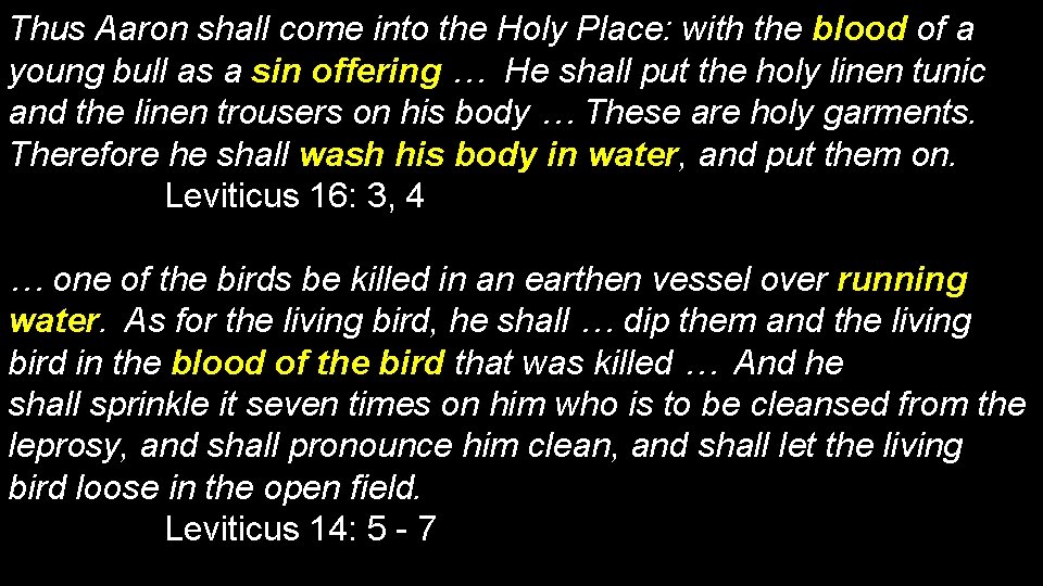 Thus Aaron shall come into the Holy Place: with the blood of a young