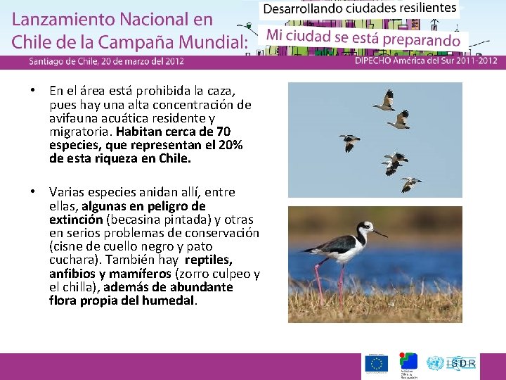  • En el área está prohibida la caza, pues hay una alta concentración