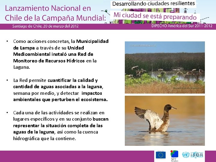  • Como acciones concretas, la Municipalidad de Lampa a través de su Unidad