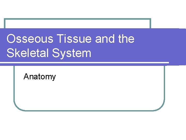 Osseous Tissue and the Skeletal System Anatomy 