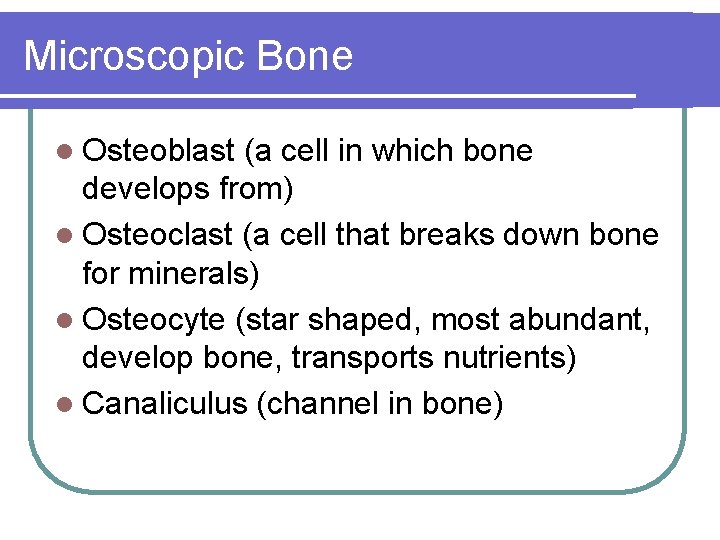 Microscopic Bone l Osteoblast (a cell in which bone develops from) l Osteoclast (a