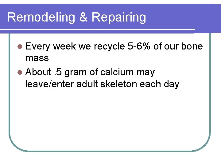 Remodeling & Repairing l Every week we recycle 5 -6% of our bone mass