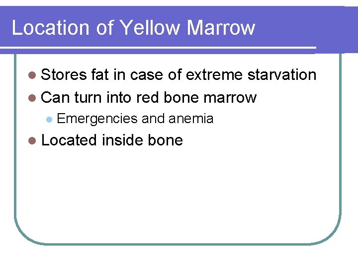 Location of Yellow Marrow l Stores fat in case of extreme starvation l Can