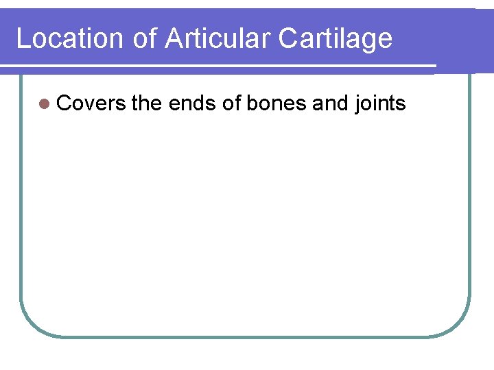 Location of Articular Cartilage l Covers the ends of bones and joints 