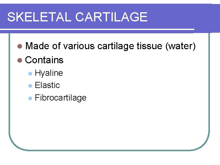 SKELETAL CARTILAGE l Made of various cartilage tissue (water) l Contains Hyaline l Elastic