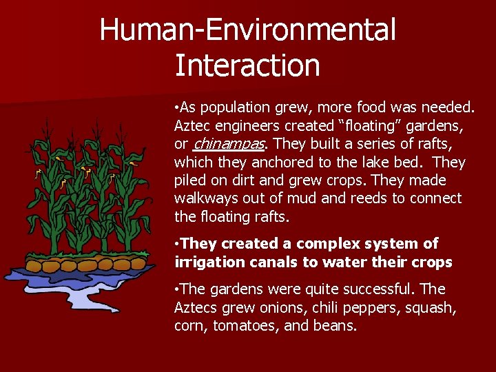 Human-Environmental Interaction • As population grew, more food was needed. Aztec engineers created “floating”