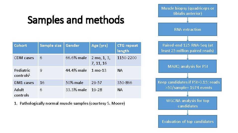 Samples and methods Cohort Sample size Gender Age (yrs) CTG repeat length CDM cases