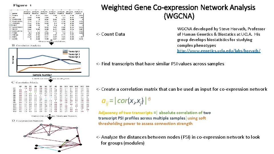 Weighted Gene Co-expression Network Analysis (WGCNA) <- Count Data PSI value Transcript 1 Transcript