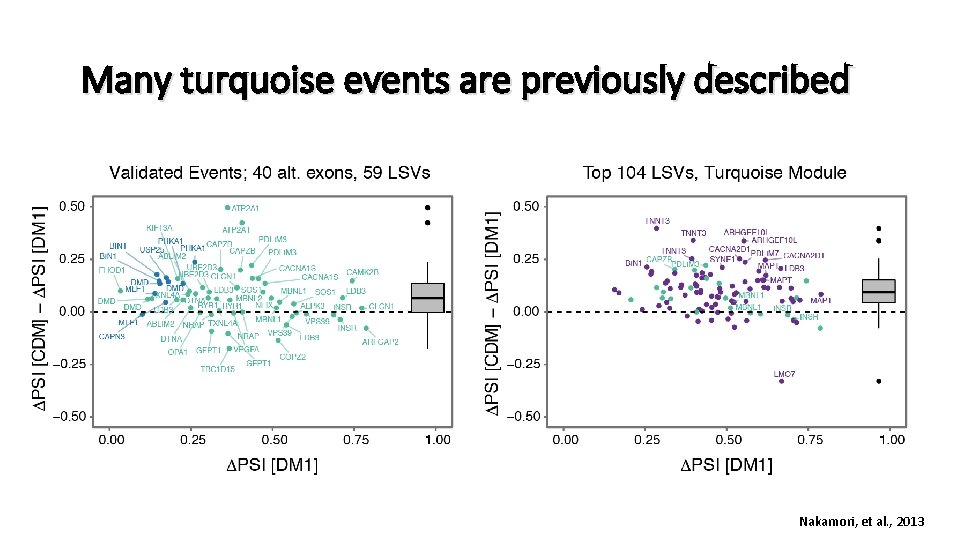 Many turquoise events are previously described Nakamori, et al. , 2013 