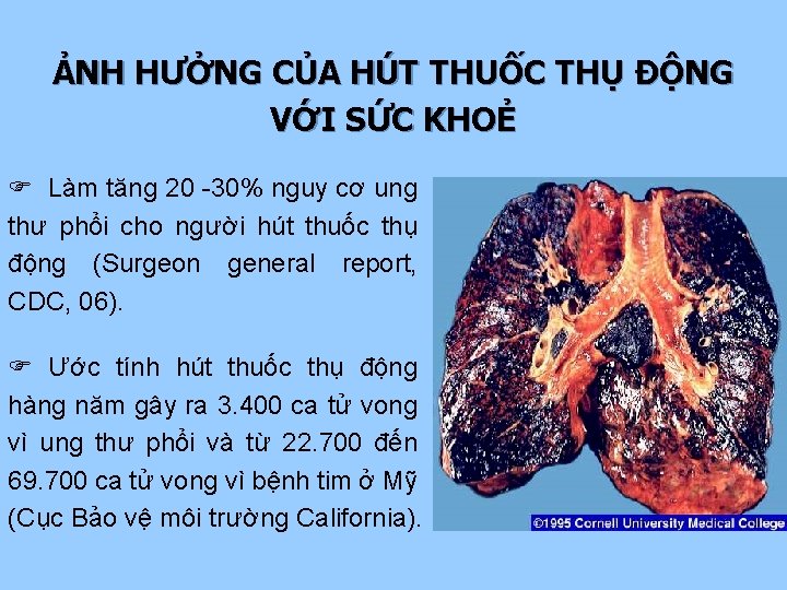 ẢNH HƯỞNG CỦA HÚT THUỐC THỤ ĐỘNG VỚI SỨC KHOẺ F Làm tăng 20