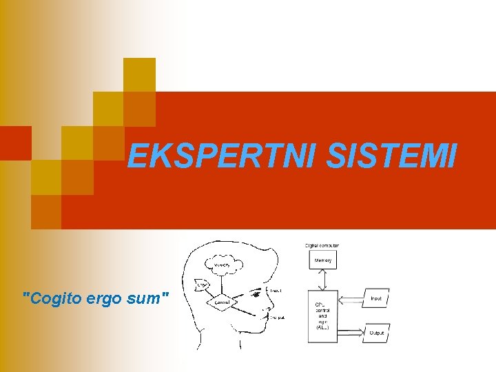 EKSPERTNI SISTEMI "Cogito ergo sum" 