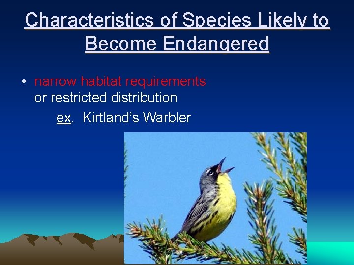 Characteristics of Species Likely to Become Endangered • narrow habitat requirements or restricted distribution