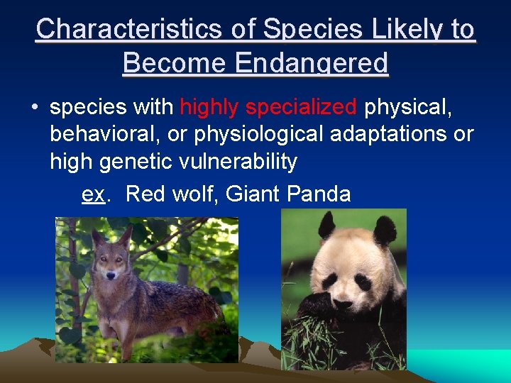 Characteristics of Species Likely to Become Endangered • species with highly specialized physical, behavioral,