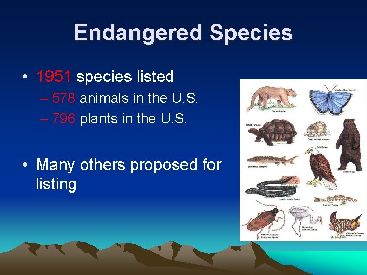 Endangered Species • 1951 species listed – 578 animals in the U. S. –