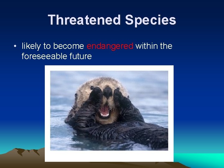 Threatened Species • likely to become endangered within the foreseeable future 