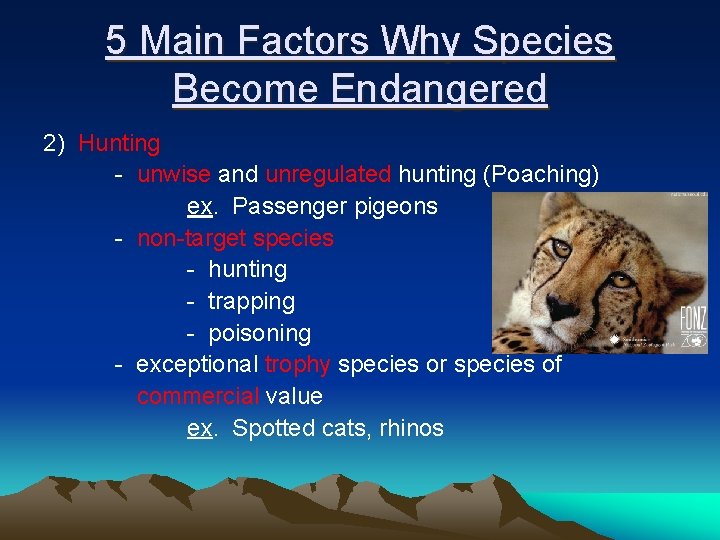 5 Main Factors Why Species Become Endangered 2) Hunting - unwise and unregulated hunting