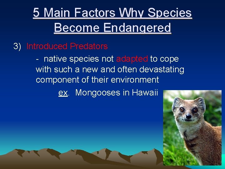 5 Main Factors Why Species Become Endangered 3) Introduced Predators - native species not