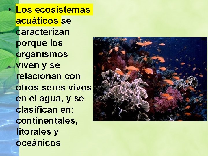  • Los ecosistemas acuáticos se caracterizan porque los organismos viven y se relacionan