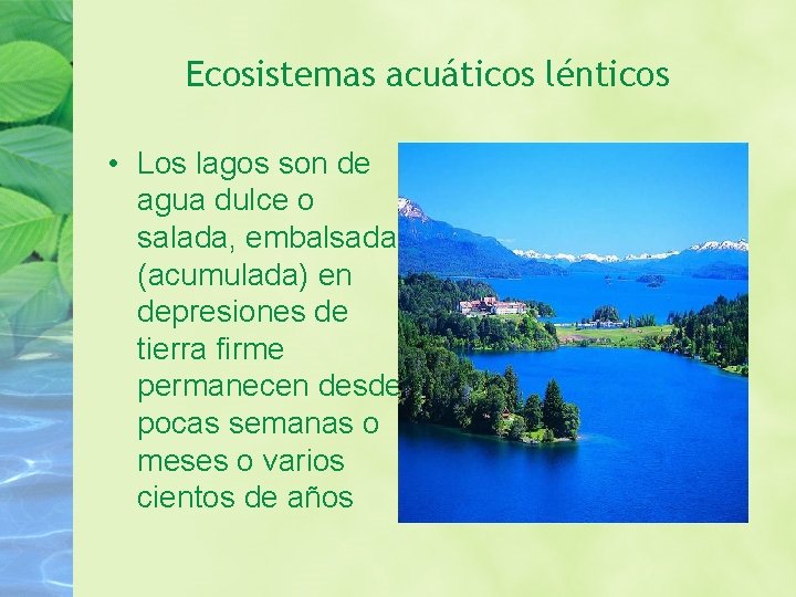 Ecosistemas acuáticos lénticos • Los lagos son de agua dulce o salada, embalsada (acumulada)