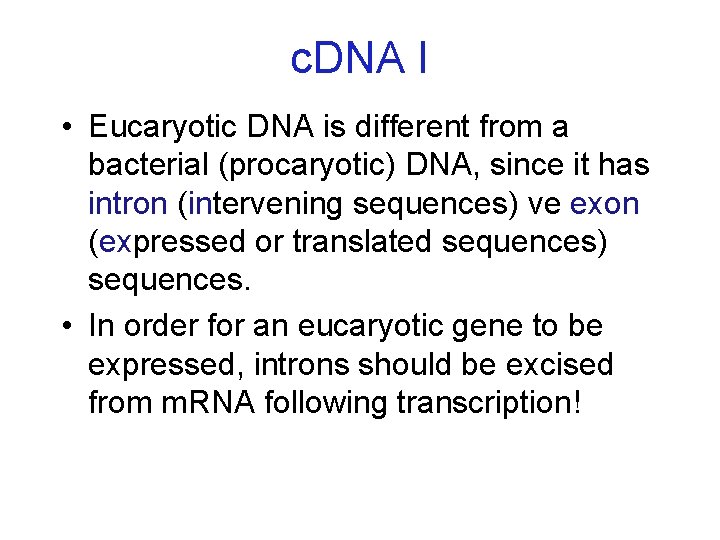 c. DNA I • Eucaryotic DNA is different from a bacterial (procaryotic) DNA, since