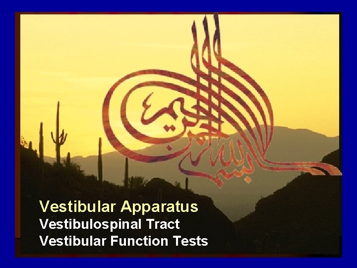 Vestibular Apparatus Vestibulospinal Tract Vestibular Function Tests 