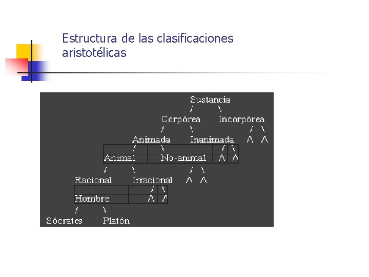 Estructura de las clasificaciones aristotélicas 
